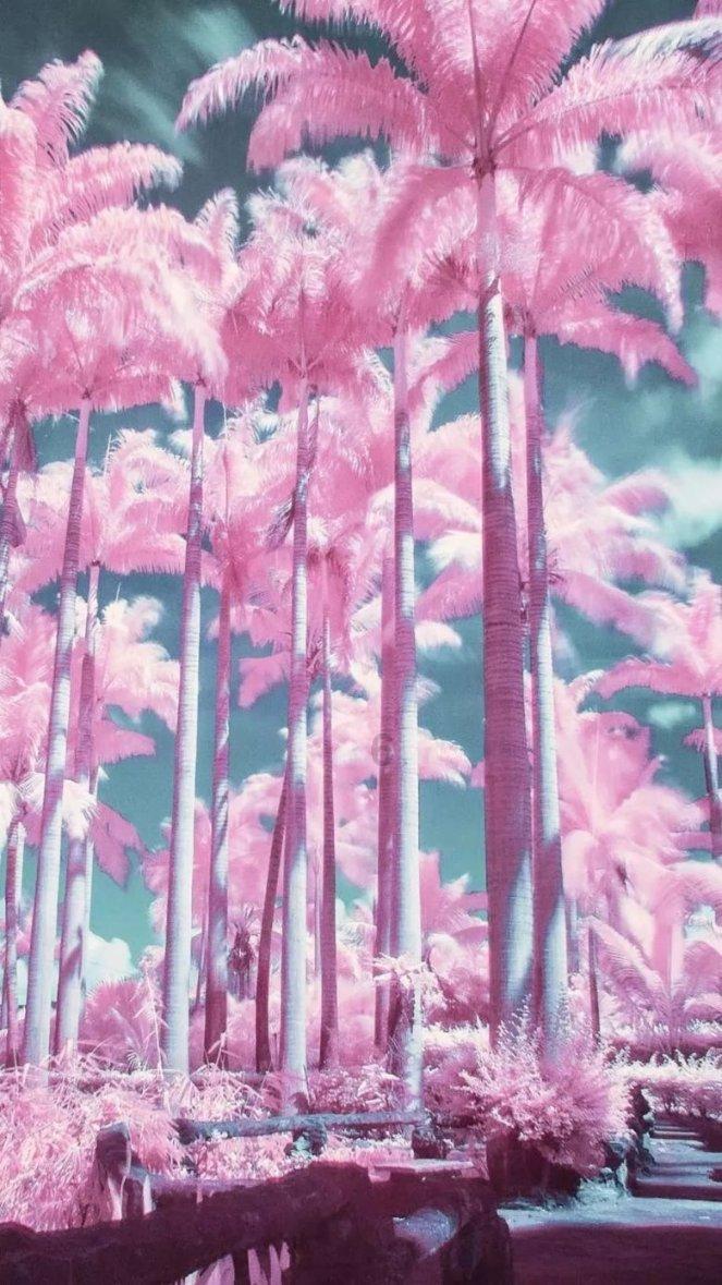 一起捕鱼吧
